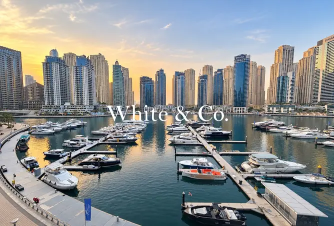 164139404 - Property Image 2