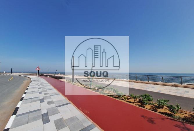 58955472 - Property Image 3