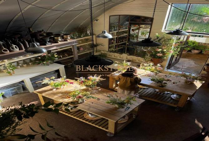 59733278 - Property Main Image