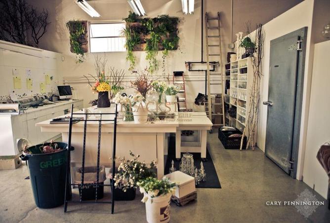 59733278 - Property Image 2