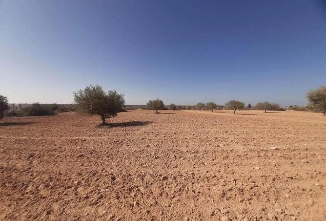 74620504 - الصورة الرئيسية للعقار