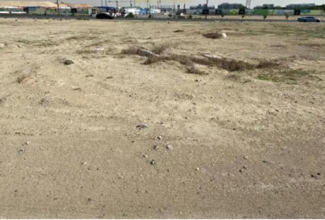 58951678 - صورة العقار 2