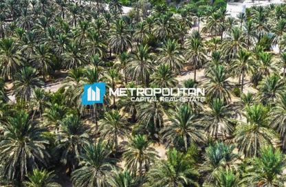 Land - Studio for sale in Al Jurf Gardens Phase 1.1 - Al Jurf Gardens - AlJurf - Ghantoot - Abu Dhabi