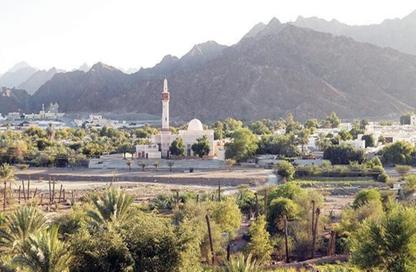 Land - Studio for sale in Masfoot 8 - Masfoot - Ajman