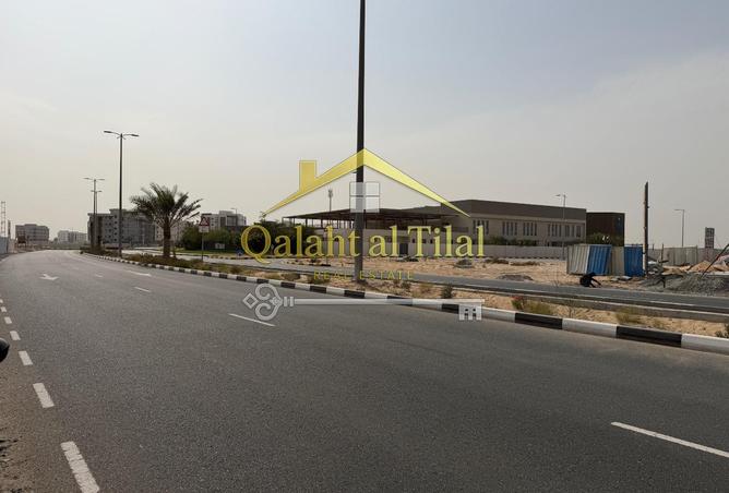 113246399 - Property Image 2