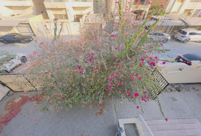 76160099 - Property Image 2