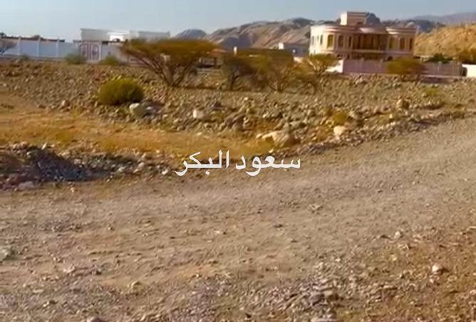 15945319 - Property Image 2