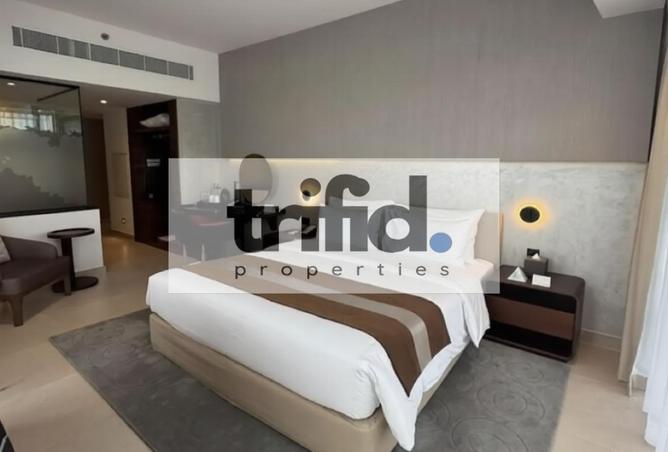 16231903 - Property Image 2