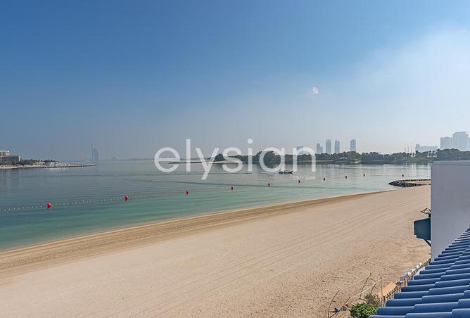 16075393 - Property Image 3