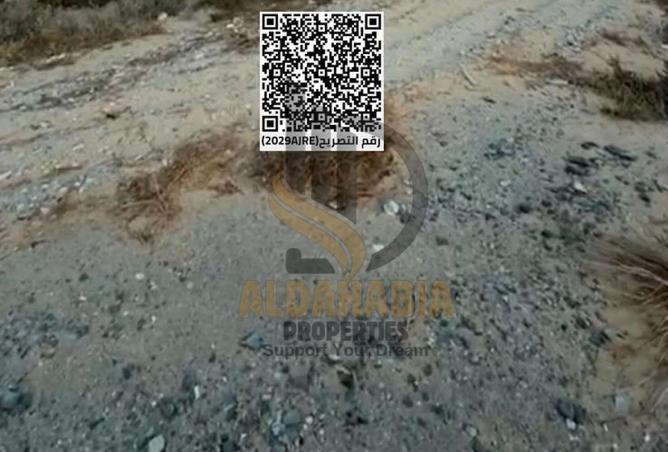 16176390 - Property Image 2