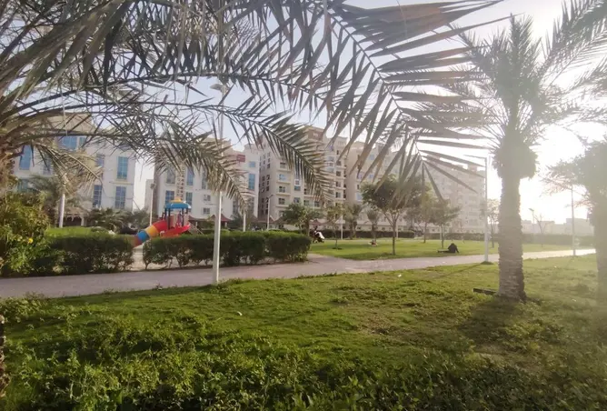 83665998 - صورة العقار 2
