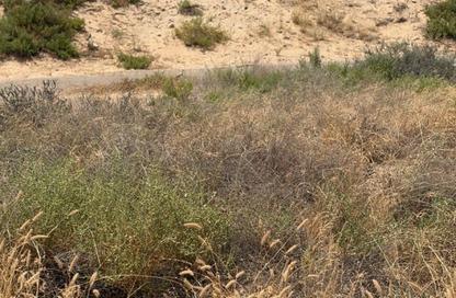 Land - Studio for sale in Al Rahmaniya - Sharjah Land - Studio for sale in Al Rahmaniya - Sharjah