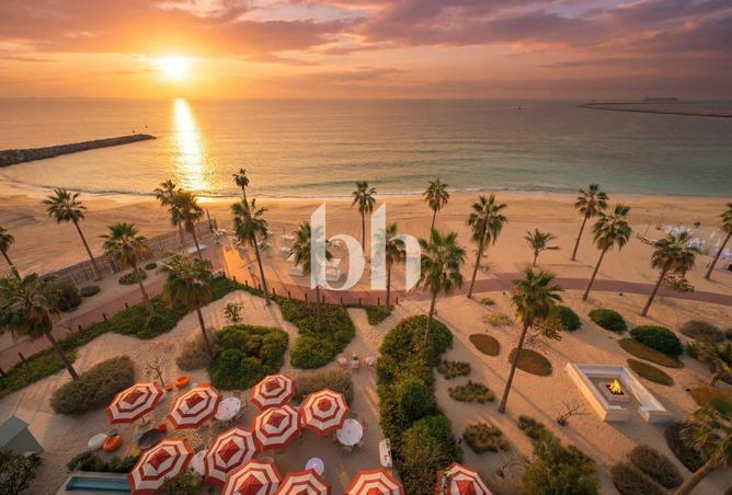 51091373 - Property Image 2