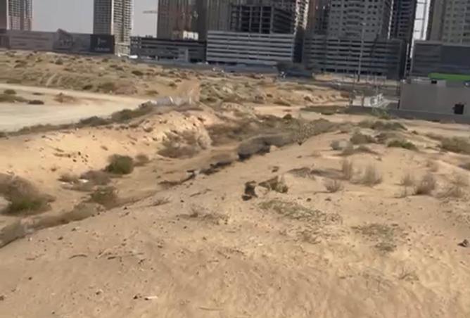 16150724 - صورة العقار 3