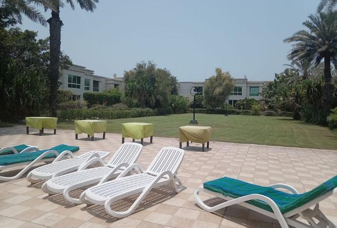 131545574 - Property Image 3