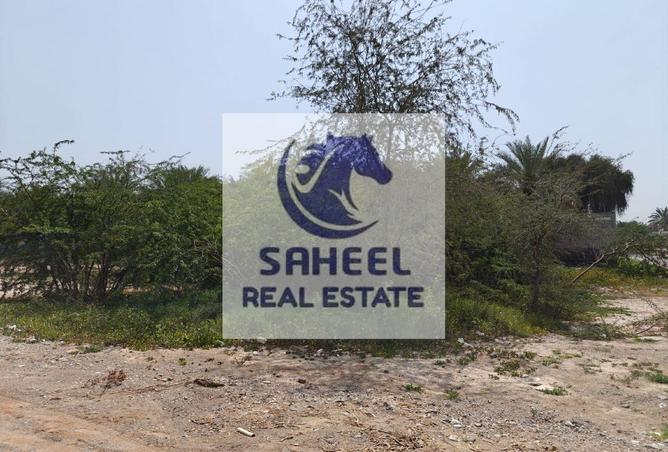 60151422 - صورة العقار 2