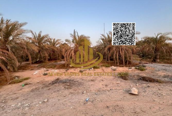 2OiEnDzEyfY - صورة العقار 3