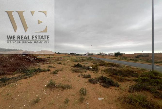 132505693 - Property Image 3