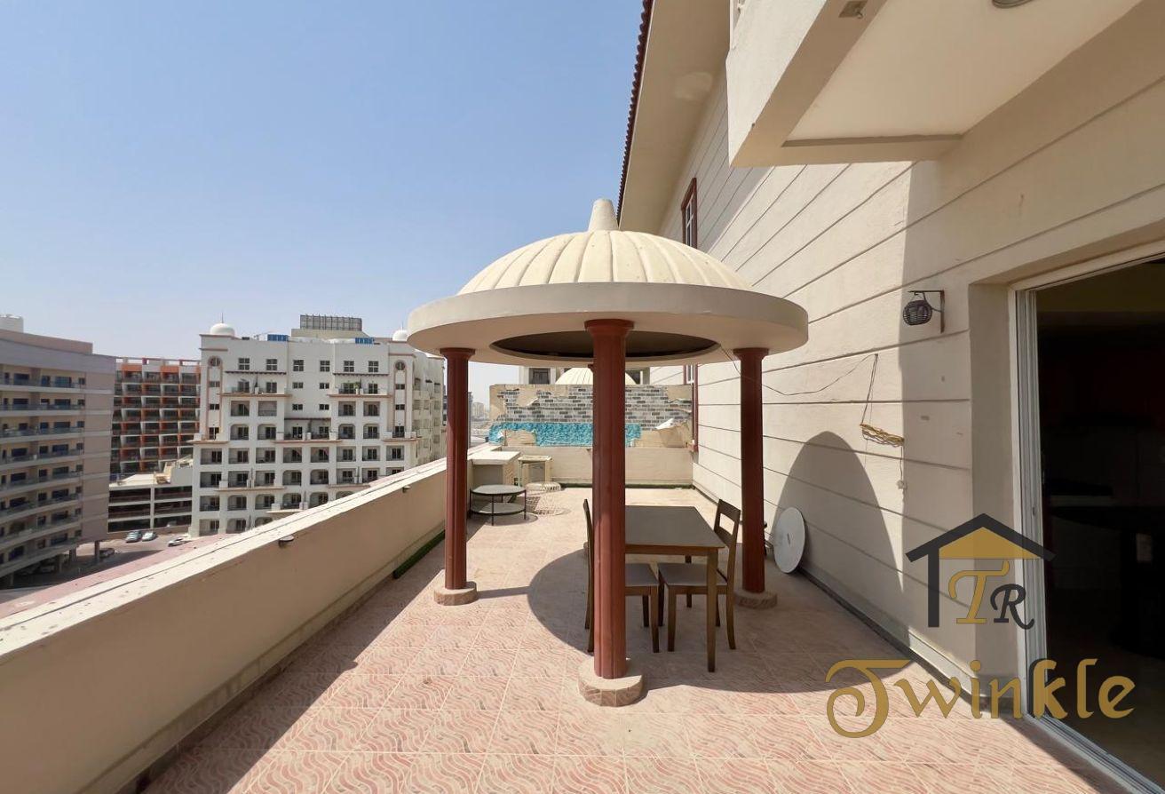 Vacant|Duplex 1BR|Huge Terrace|2 Balconies photo 6