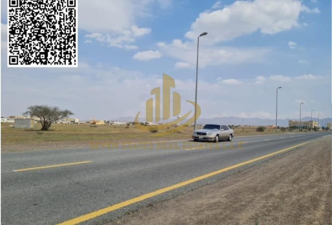 141465619 - Property Image 2