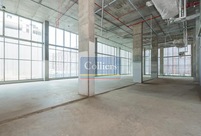 135618128 - Property Image 3