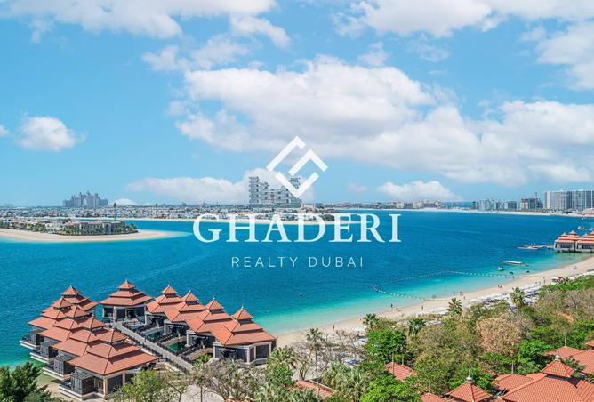 58163666 - صورة العقار 2