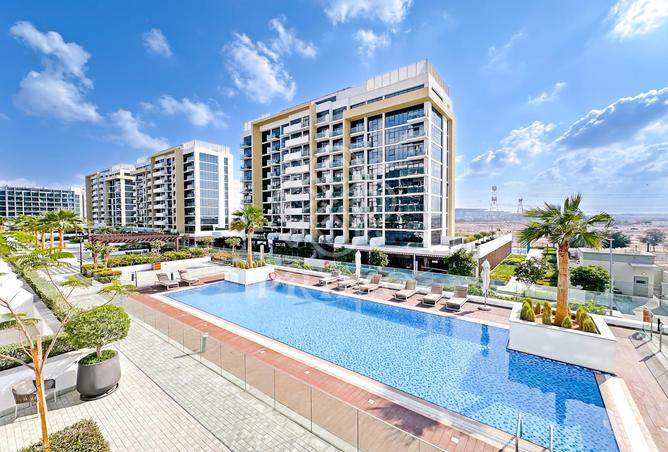 16177057 - Property Image 3