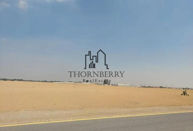 16168999 - Property Image 3