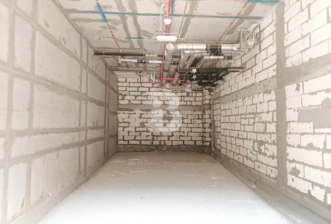 16295779 - Property Image 3