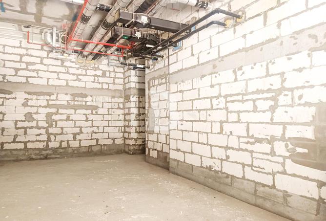 16295779 - Property Image 2