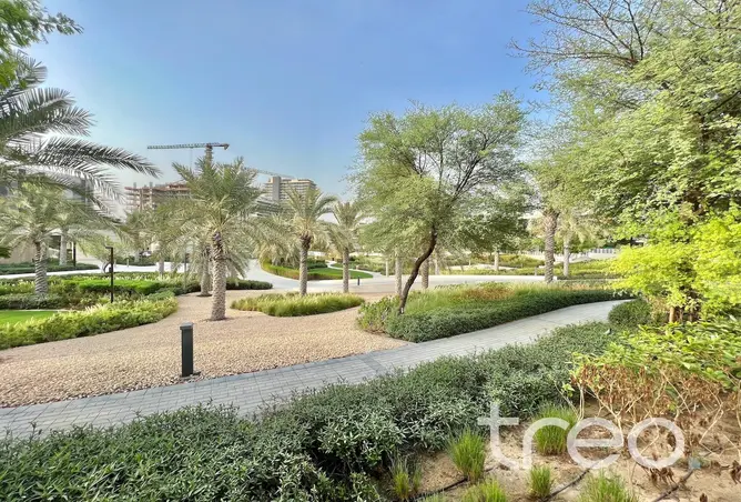 98241729 - Property Image 3