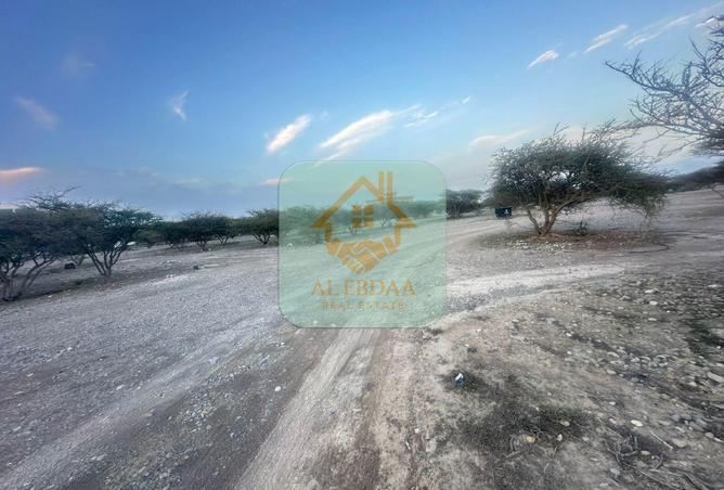 86163158 - صورة العقار 2
