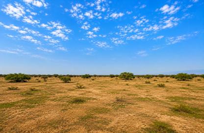 Land - Studio for sale in Mudfak - Ras Al Khaimah Land - Studio for sale in Mudfak - Ras Al Khaimah