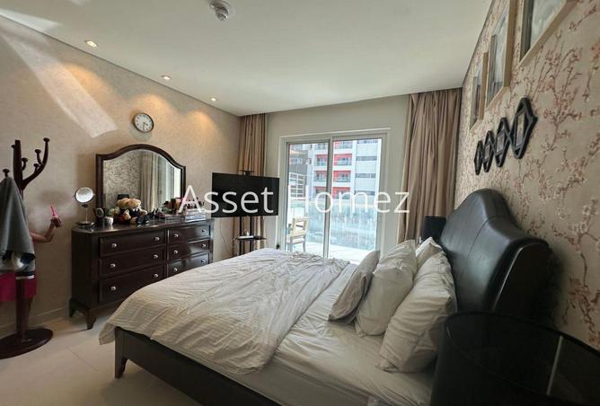 16254626 - Property Image 3