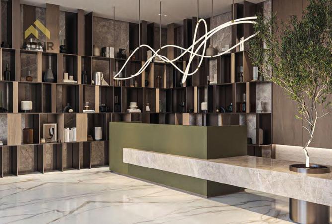 67821024 - صورة العقار 3