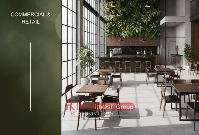 51595910 - Property Image 3