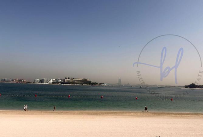 53984900 - الصورة الرئيسية للعقار