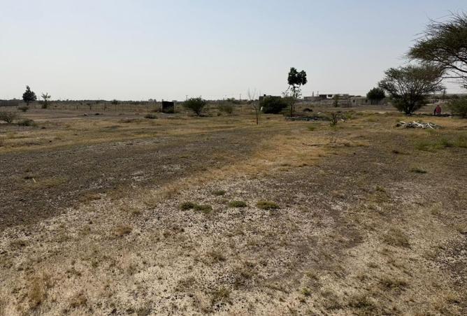 137430198 - Property Image 3