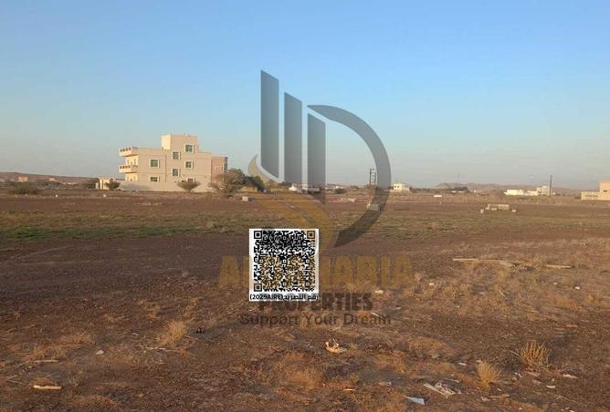 16207483 - Property Image 2