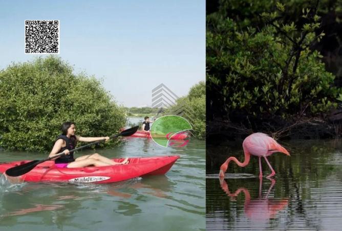 16201791 - الصورة الرئيسية للعقار