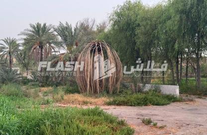 مزرعة - استوديو للبيع في الحمرانيه - رأس الخيمة