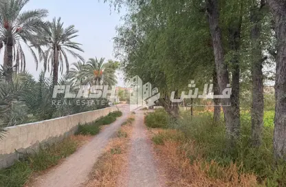 Farm - Studio for sale in Al Hamraniah - Ras Al Khaimah