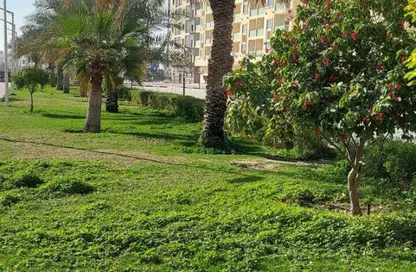 Apartment - 1 Bedroom - 2 Bathrooms for sale in Al Amira Village - Al Yasmeen - Ajman