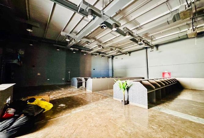 16236617 - Property Image 2