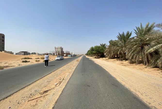 16225512 - Property Image 3