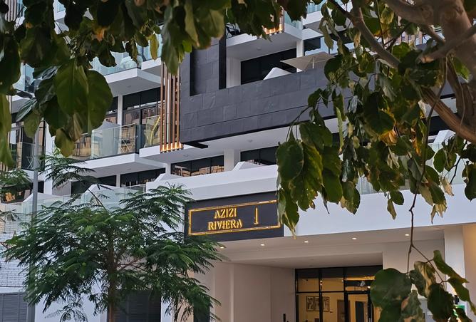 74260865 - Property Image 3