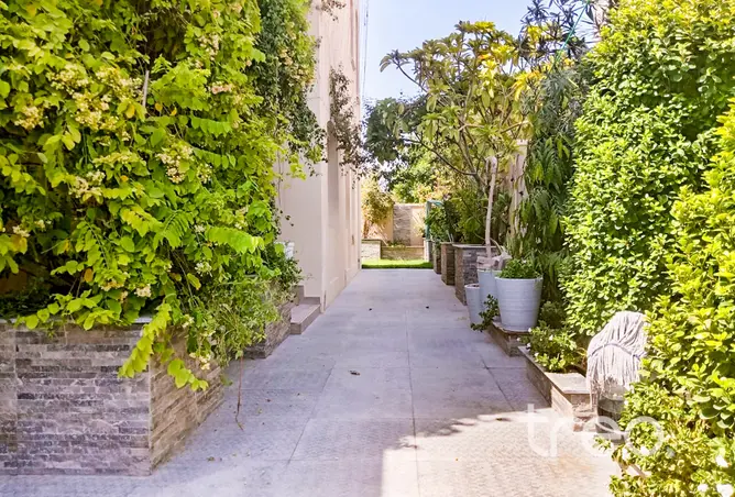 113724130 - Property Image 3