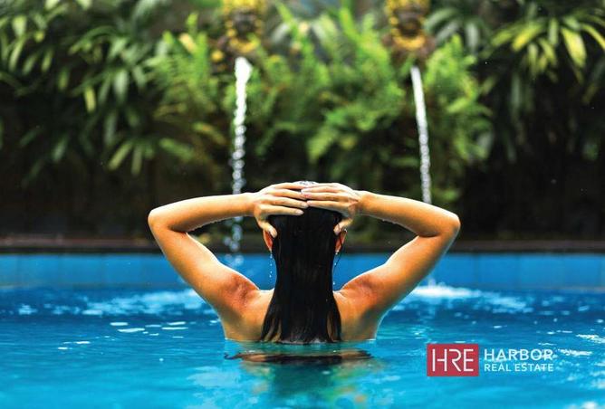 53572968 - Property Image 3