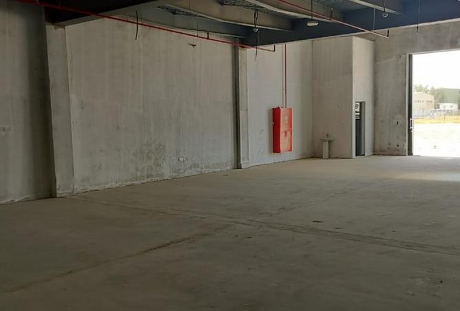 127930312 - صورة العقار 2