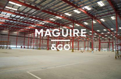 Warehouse - Studio - 7+ for rent in Freezone South - Jebel Ali Freezone - Jebel Ali - Dubai